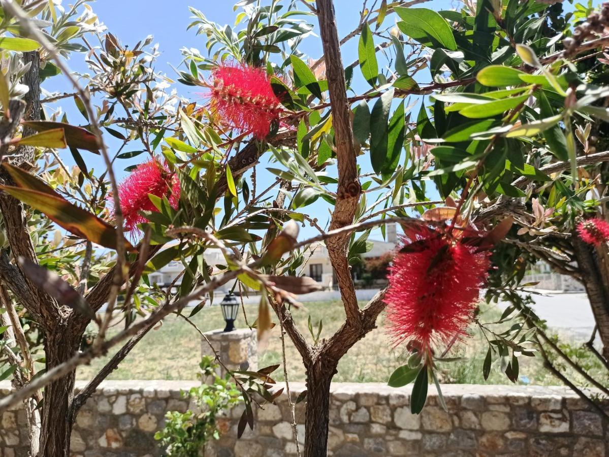 Emily'S House Lejlighed Kos By Eksteriør billede